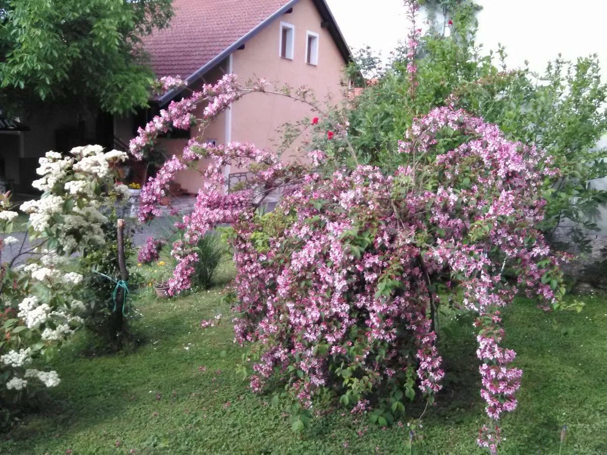 Apartment Tomasevic Slunj Buitenkant foto