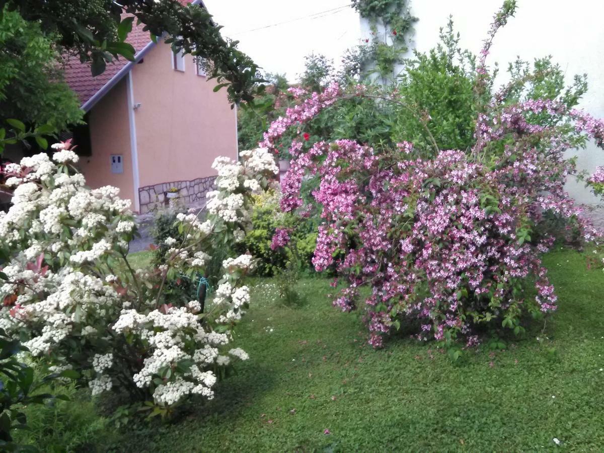 Apartment Tomasevic Slunj Buitenkant foto